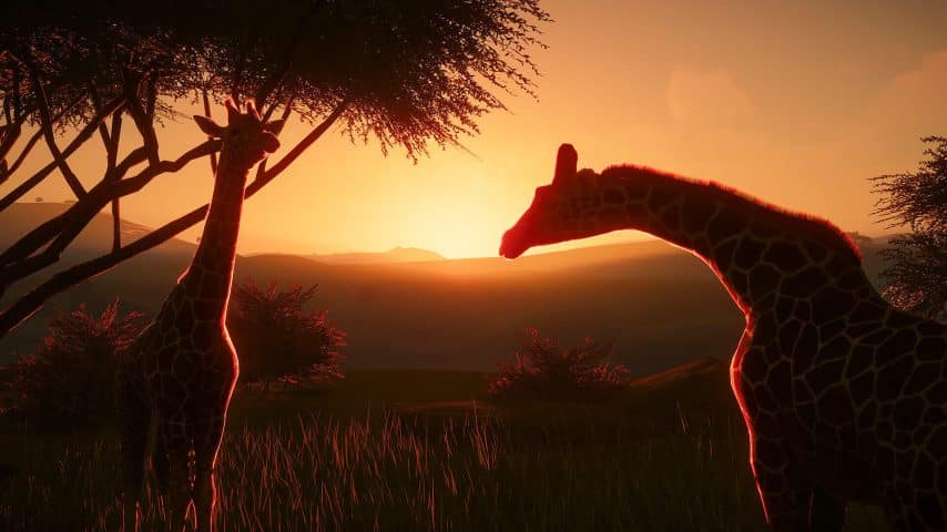 Planet Zoo: Console Edition inceleme